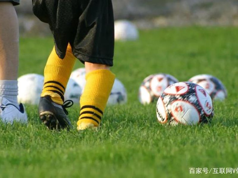 江南官网下载概况